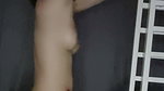 asian sexdoll vid 2083