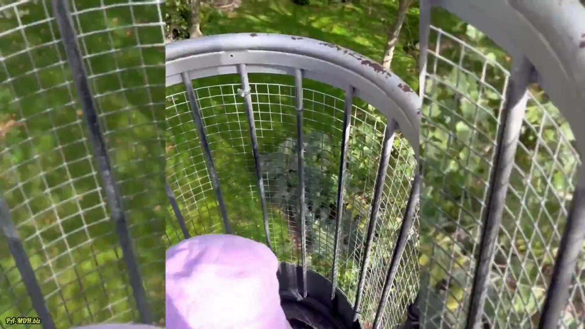 Frame 1