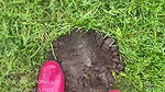 gynarchygoddess 2020 10 08 1039769745