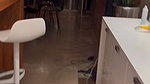 isla moon vid 062