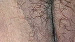Desi Sex Videos