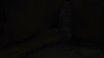 Husband Wife Deshi Sexy Vedio