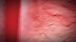 Indian Desi sex with 18 year old couple in home