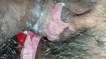 Little sister-in-law’s juicy fucking