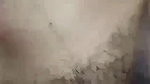 Cute young girl fucking with clear talking