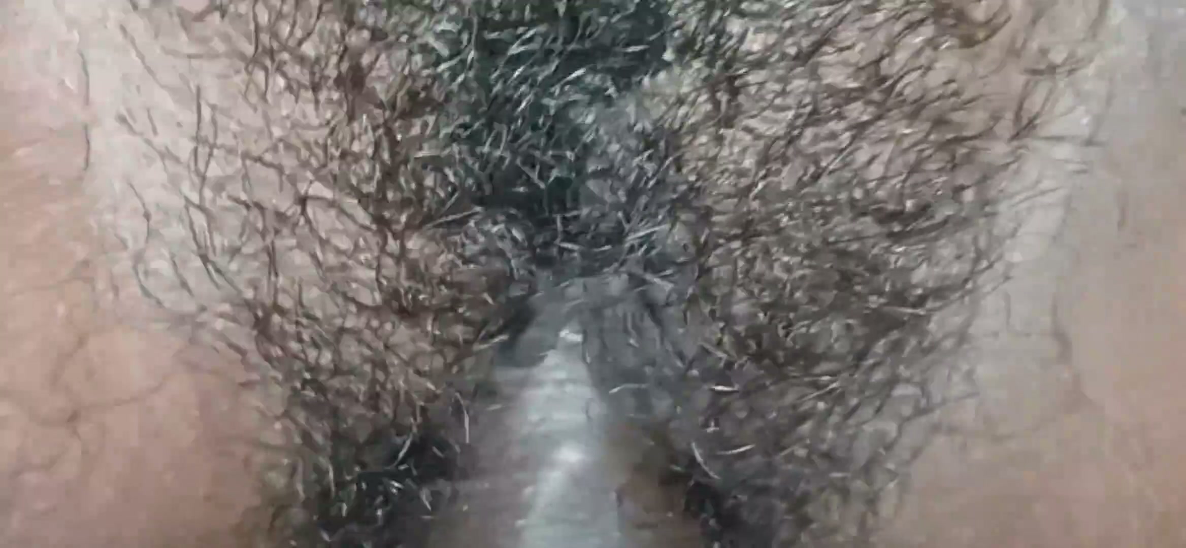 Frame 10
