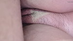 after an entire night of fucking me my bull wakes me up to breed me before my cuckold arrives home and creampied me too