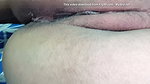 after an entire night of fucking me my bull wakes me up to breed me before my cuckold arrives home and creampied me too
