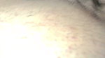 all night fucked by my black bull after my cuckold went to work