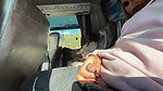 Bus Adventure I Show My Cock to a Sexy Cutie Lady…she Can’t Resist