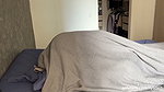 Casual and neglected food under the sheets -amateur couple- nysdel