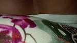 cheating on my cuckold hubby with a young guy in the lieving room and he didn’t bring condoms so cums inside my pussy