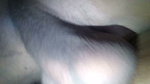 cheating wife sucking black cock before getting fucked by black cock and riding him until he cum inside me