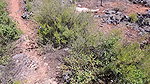 Chubby Dude Fucks Hot Latina Outdoors