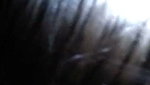 cuckold sex – Latina cheating wife riding and fucked by bbc