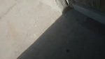 Village Bhabi Sucking And Riding