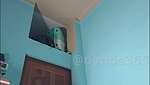 Riya_35_sexy Stripchat ticket show