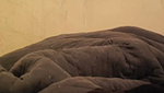 Beautiful Cheater Bhabhi Stripping Hard Standing And Missionary Fucking Recorded 1