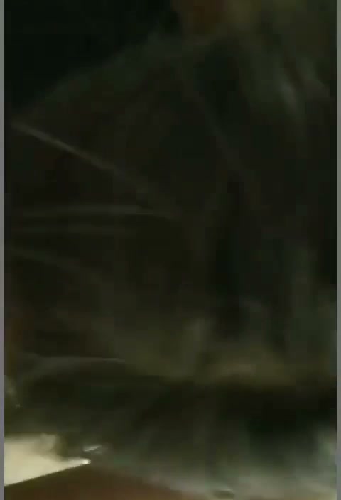 Frame 2
