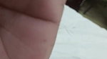 GF 3 3
