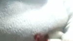 Horny Babe BJ,Fucking In Many Position, Pussy Sucking, Cum On Body 16