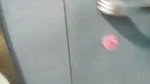 Horny Babe BJ,Fucking In Many Position, Pussy Sucking, Cum On Body 19