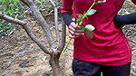 HOT YOUNG SLIM STRANGER GIRL FUCKING IN JUNGLE (HINDI ROLEPLAY)
