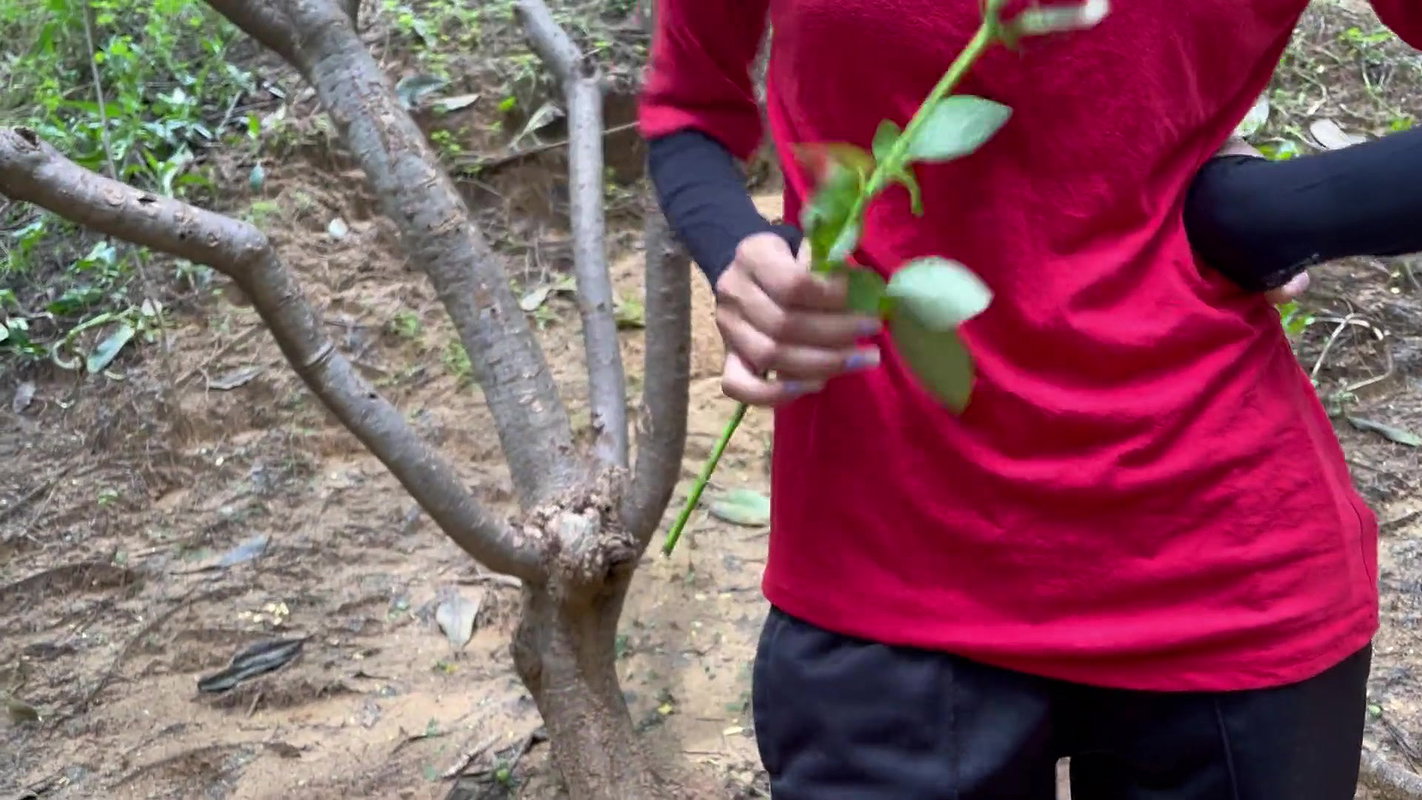 HOT YOUNG SLIM STRANGER GIRL FUCKING IN JUNGLE (HINDI ROLEPLAY)