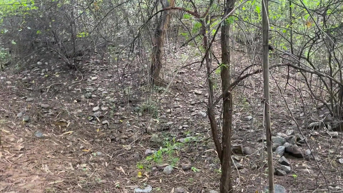HOT YOUNG SLIM STRANGER GIRL FUCKING IN JUNGLE (HINDI ROLEPLAY)