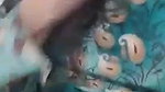 Cute Slim Gf Showing