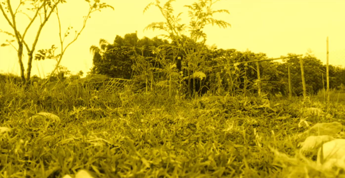 Frame 1