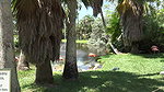 Kimmie Haze – Sarasota 3