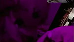New Tango video collection – 1001