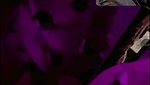 New Tango video collection – 1001
