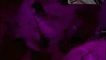 New Tango video collection – 1001