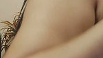 New Tango video collection – 1253