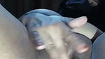 New Tango video collection – 1480