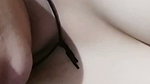New Tango video collection – 1542