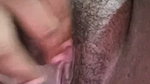 New Tango video collection – 1612