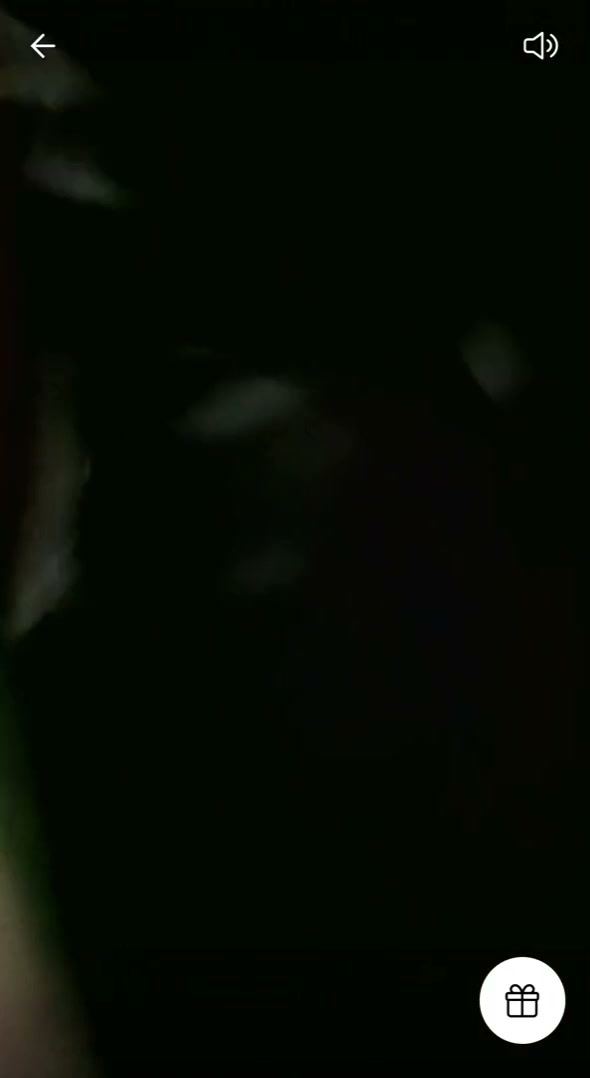 Frame 5