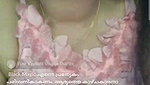 New Tango video collection – 182