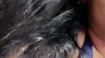New Tango video collection – 205