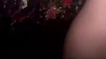 New Tango video collection – 262