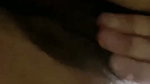 New Tango video collection – 279
