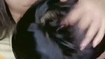 New Tango video collection – 291