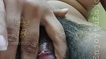 New Tango video collection – 52