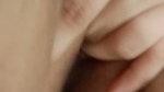 New Tango video collection – 521