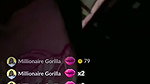 New Tango video collection – 527