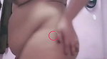New Tango video collection – 538