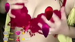 New Tango video collection – 542
